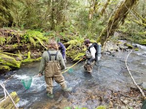 Read more about the article Electrofishing in an Unnamed Tributary to Rock Creek