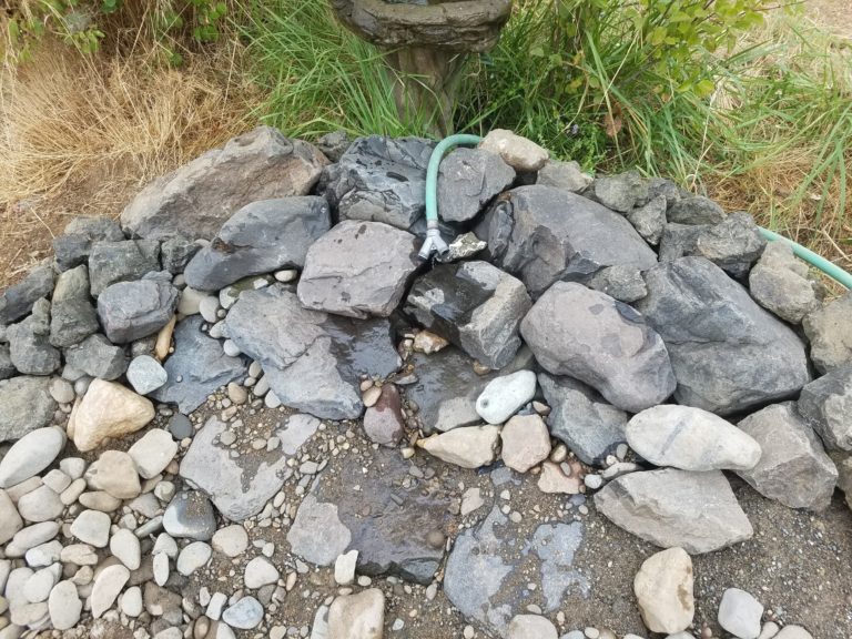 The spring structure. The hose was used to saturate the entire stream substrate with water upon the initial filling of the stream and pond.