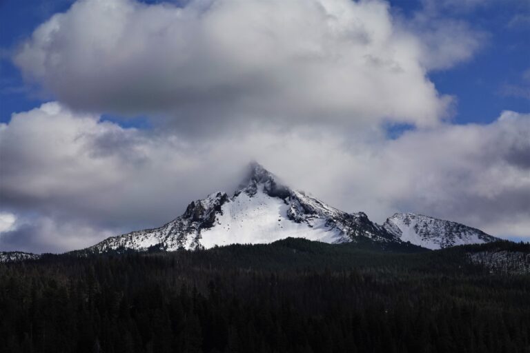 Mount Thielsen above the forest.