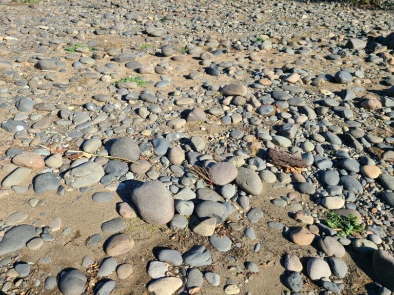 Look carefully for the whitewash splatter on these cobbles.