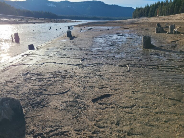 The mudflat I was venturing into, with the "mud serpent" just left of center.