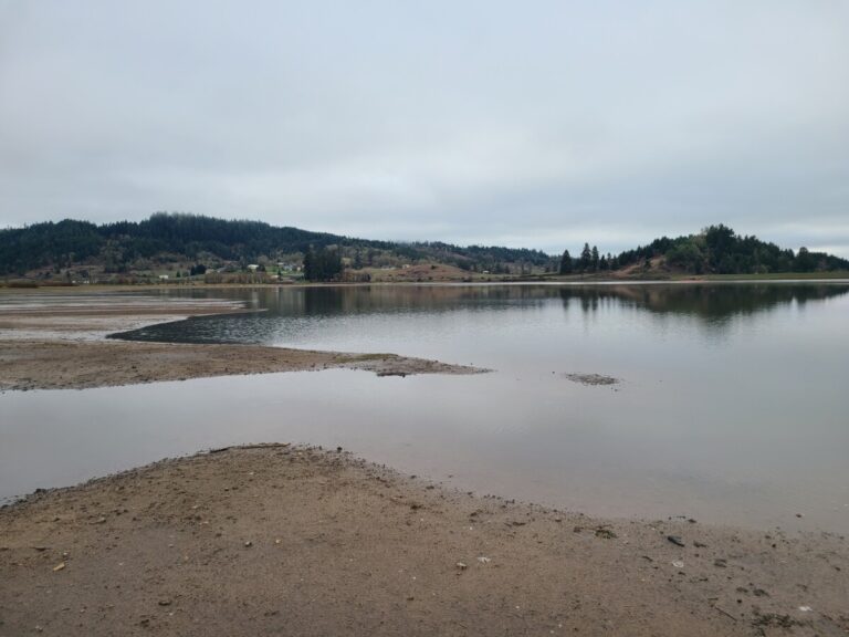 A view of the reservoir mudflats.