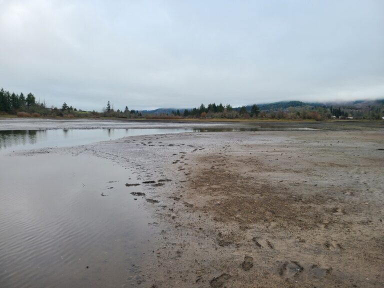 A view of the reservoir mudflats and my footprints.