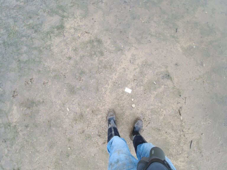 Slow trail of a River Otter.