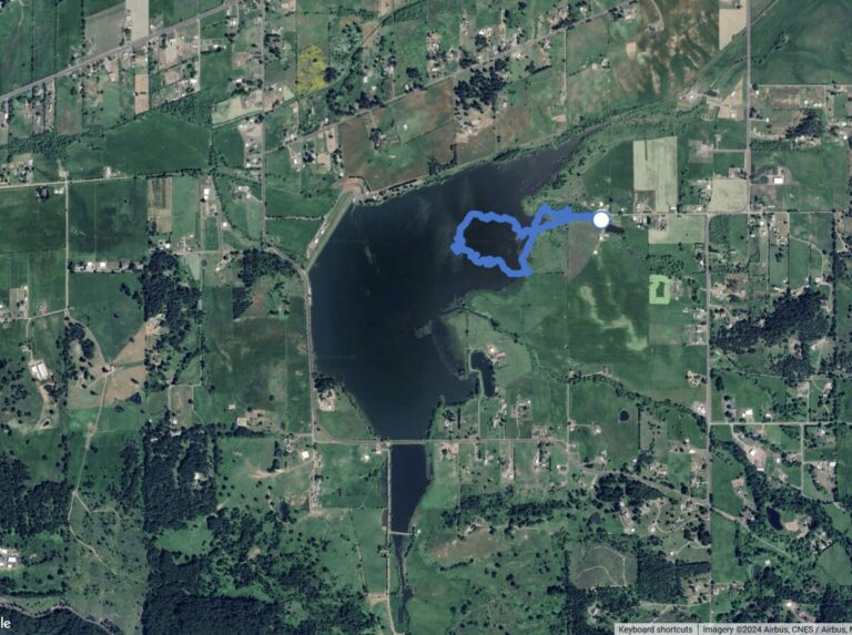 My walking route in blue off the end of Bingo Road, with permission from the Sutherlin Water Control District. This imagery is from the eBird app and shows the reservoir at full pool, not the lower level of when I was present.