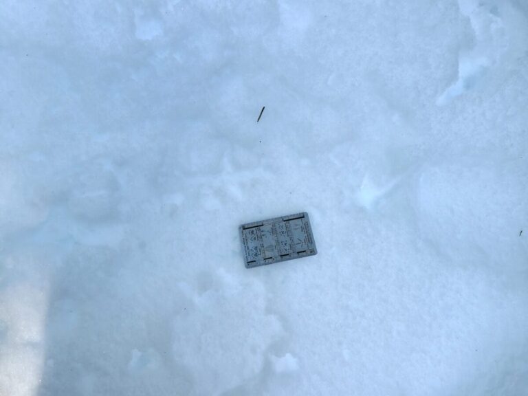 Grouse tracks where the snow was not as soft, under a bit of conifer canopy.