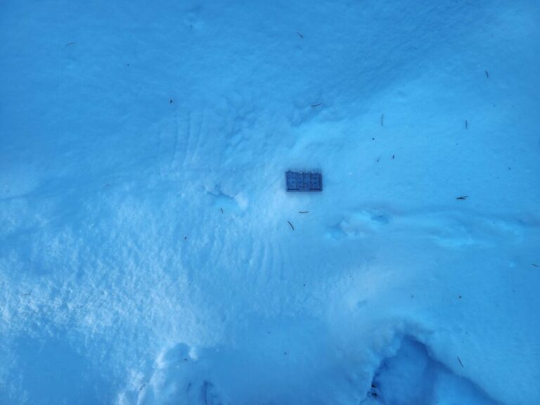 Closer look at grouse trail walking right to left, then wing marks at takeoff.