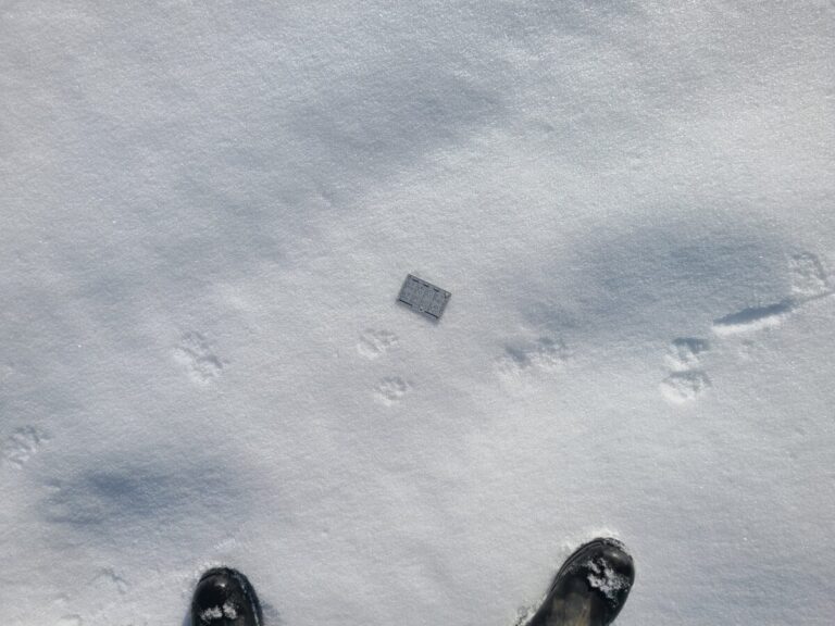 Side trot with some transitions on a thin layer of fresh snow over an ice crust, thus the toes register even less than in slightly deeper snow. Probably due to the gait change the already fuzzy details in these tracks are even less visible here.