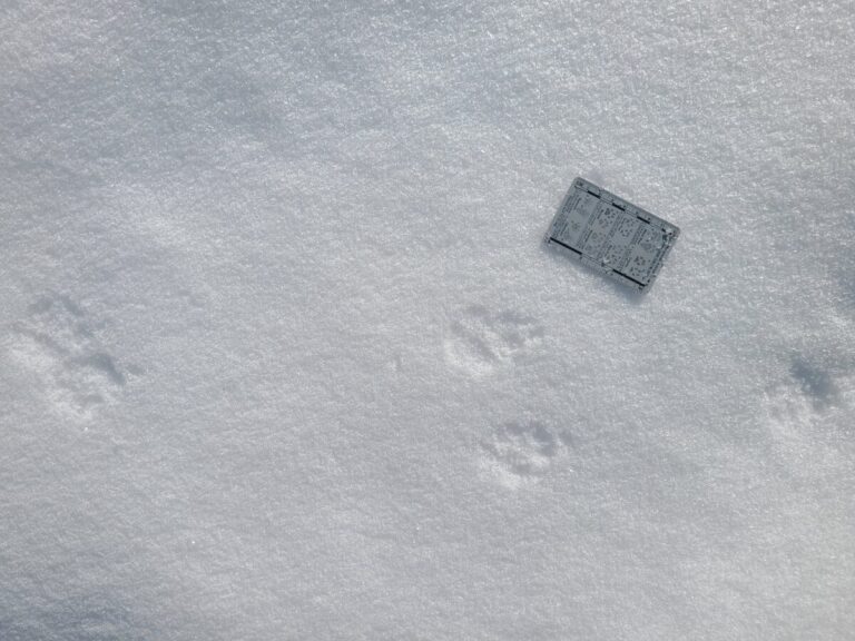 Some of these prints seem to show a slight nail drag in front of the print.