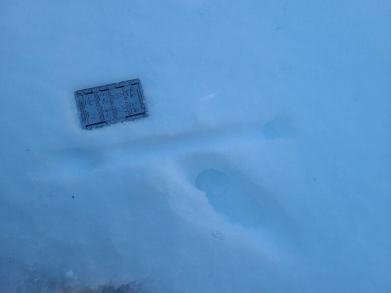 A "dog bone" impression within a weasel 2x2 lope trail.