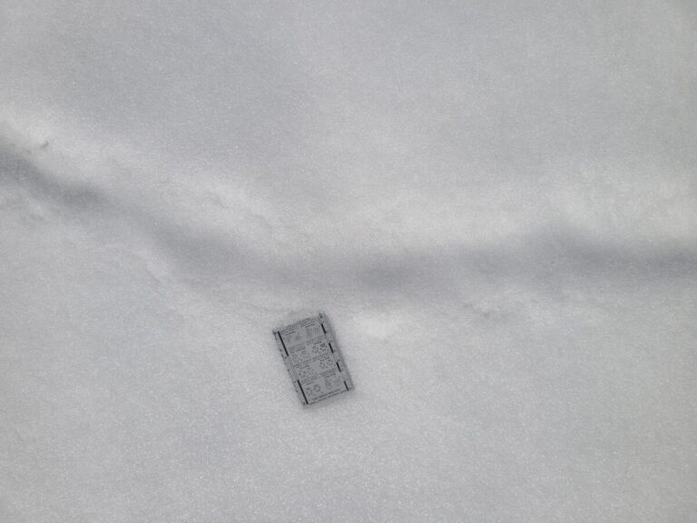 Closer view of the collapsed pocket gopher tunnel.