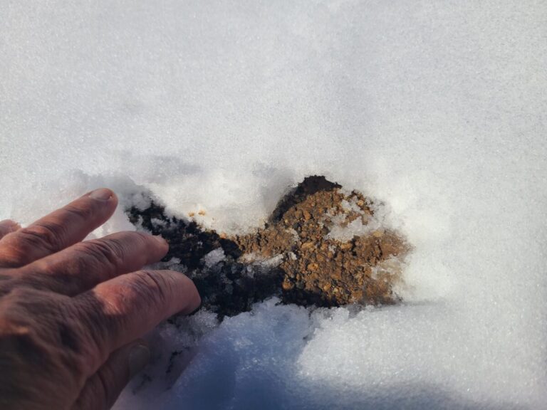 Exposing the tunnel.