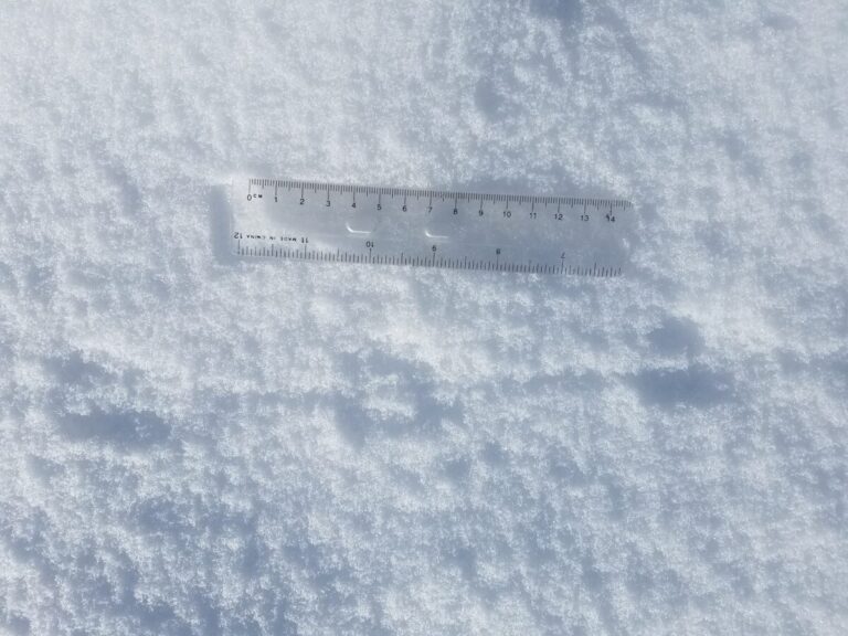 These show parallel placement of feet and tail drag or impressions. I would guess Deer Mouse, but I'm not sure.