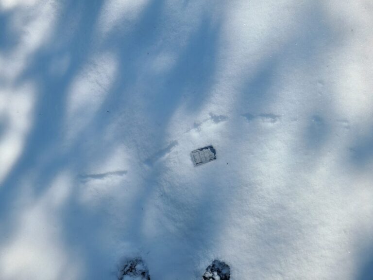 This appears to represent some alternating snowplowing and jumping.