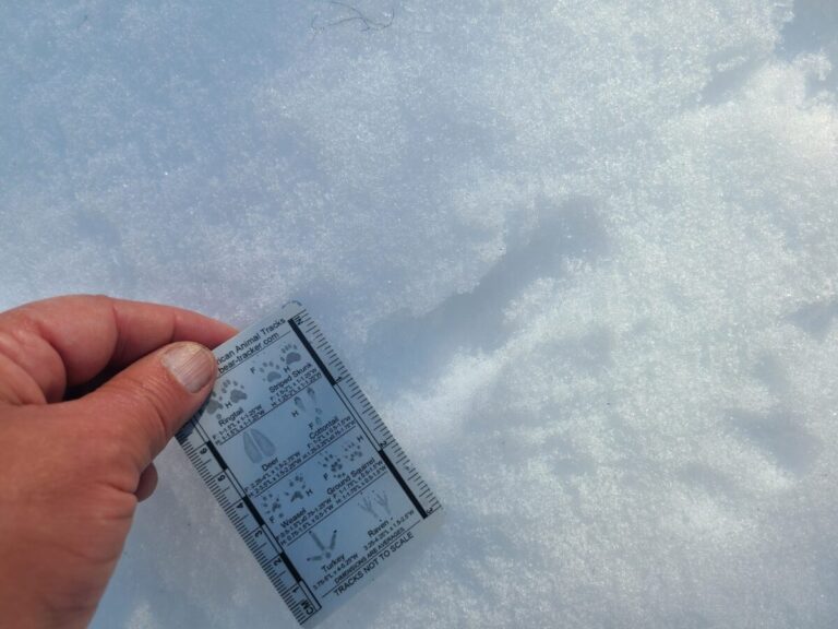 A close-up of some snowplowing and jumping.