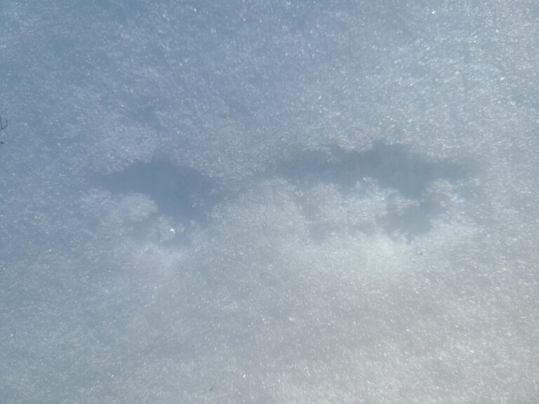 A close-up of some snowplowing and jumping.