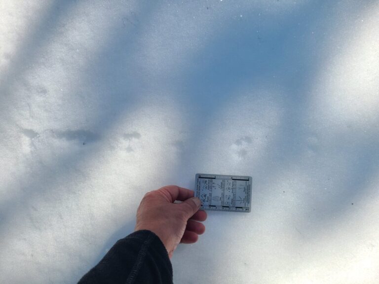 Some bounding tracks associated with some snowplowing and jumping.