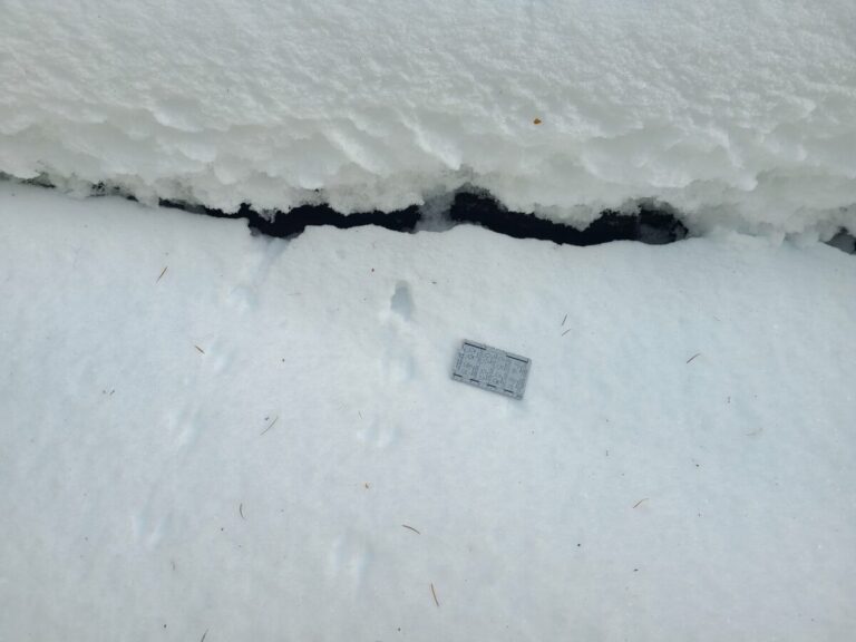 These show parallel feet placement and what looks like a small tunnel, though maybe it is just a footfall area (on the right set of tracks). I'm not sure whether this is Deer Mouse or vole.