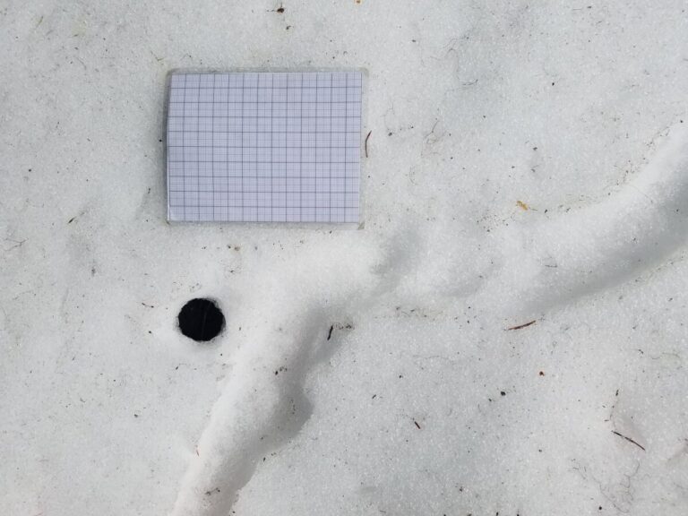 A closer look at a snow channel and hole in snow. Grid is cm and mm.