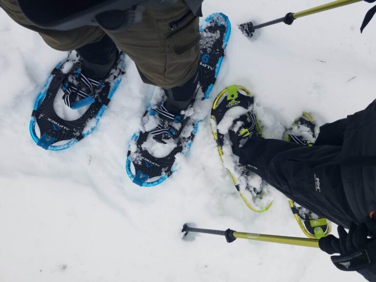 Snowshoes are my favorite mode of transportation when tracking in snow deeper than about 1 ft, though occasionally I wish I was more proficient with cross-country skis! In shallow snow, say less than 6 inches, only boots are required.