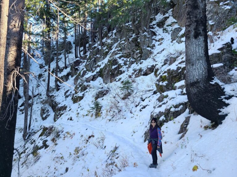 In somewhat open forest, there will be patches of relatively smooth snow and some debris-covered snow.