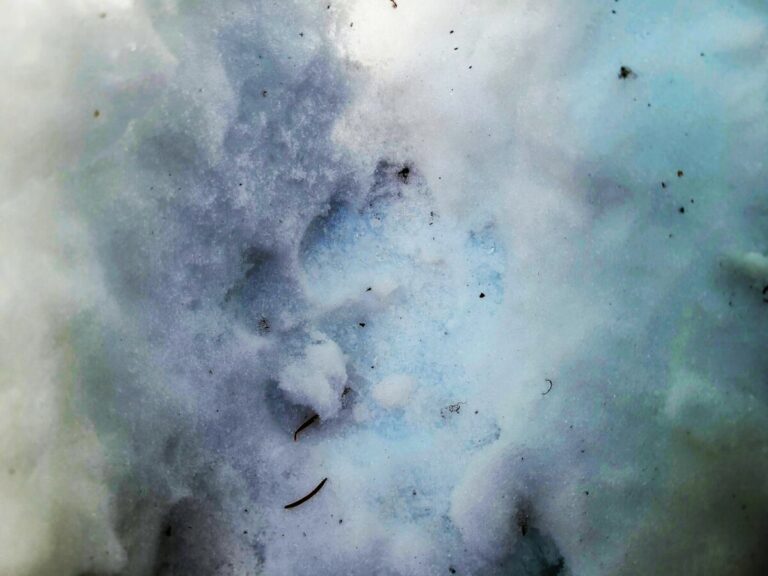 Mountain Lion left-side print, enhanced to better reveal details.