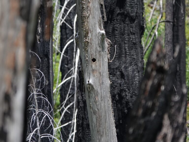 This cavity looked promising.